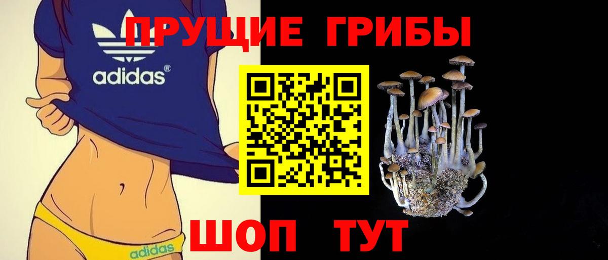 Псилоцибиновые грибы Magic Shrooms  Вход с VPN  Беслан  Галлюциногенные грибы Magic Shrooms 